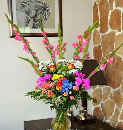 호텔 Dwor W Zabuzu 4*